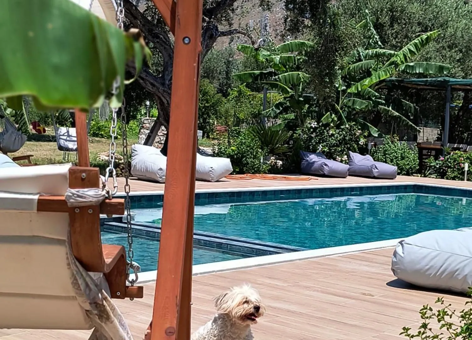 Polyxeni Apartments & Rooms Qeparo Albanien